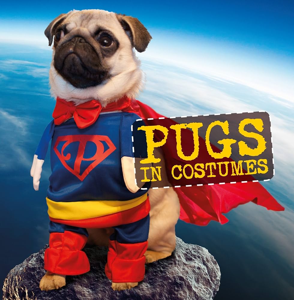 Pugs in costumes