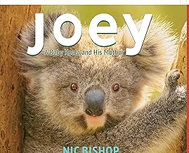 JOEY: A BABY KOALA AND HIS MOTHER