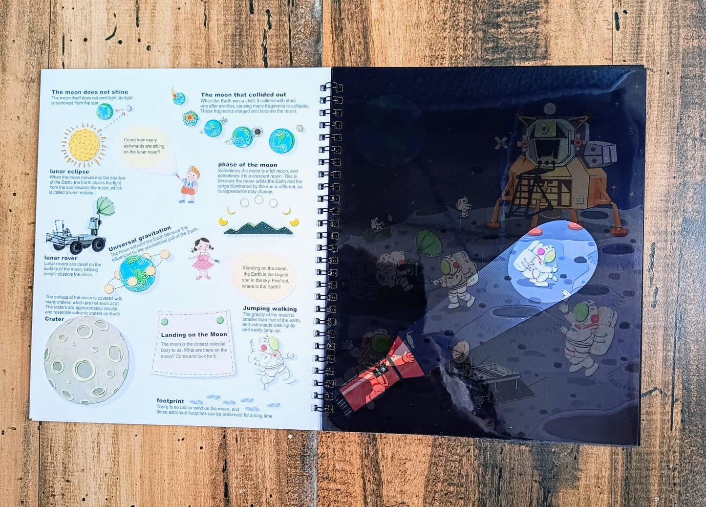 Ocean Exploration- Small Flashlight Big Discovery
