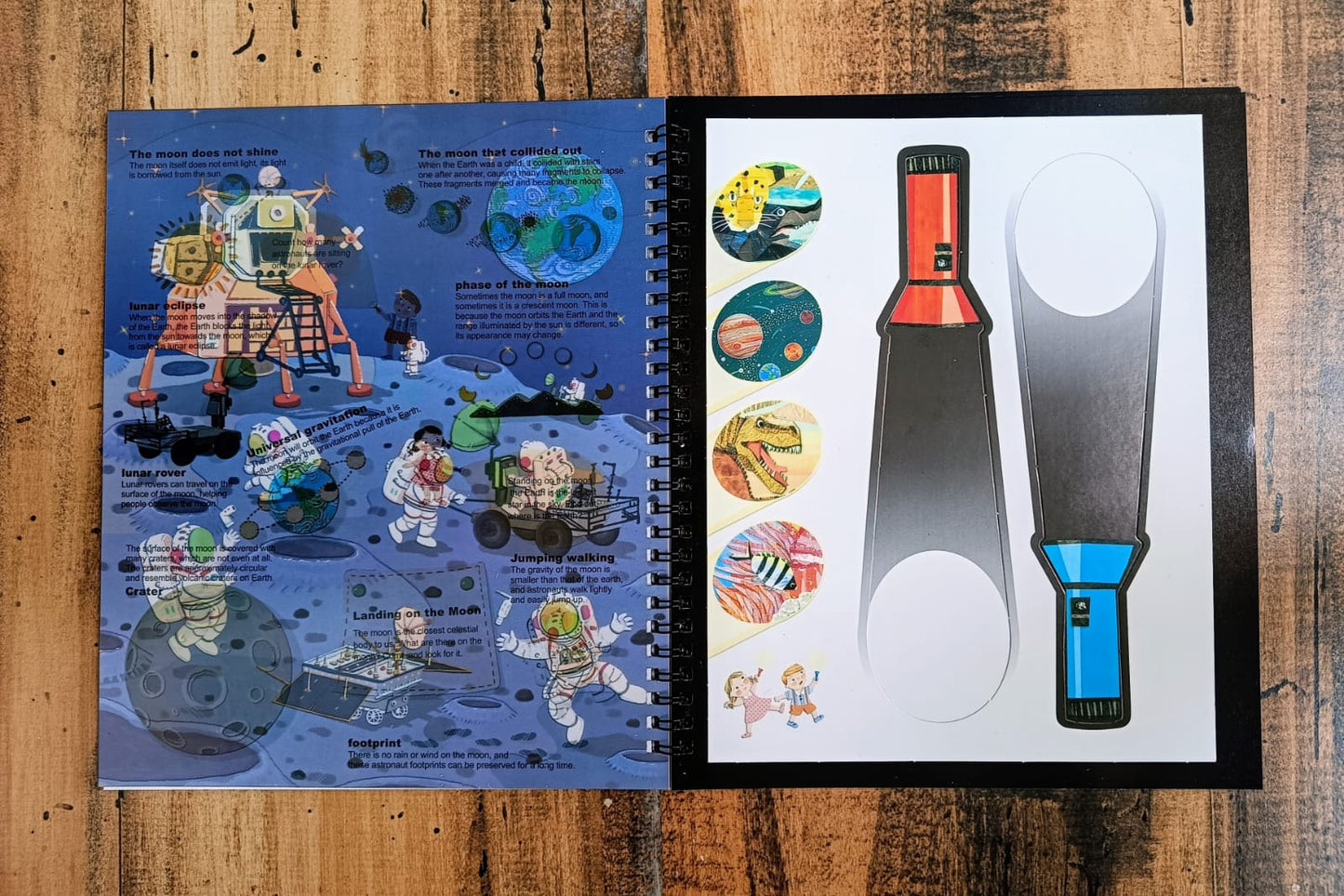 Dinosaur Kingdom- Small Flashlight, Big Discovery