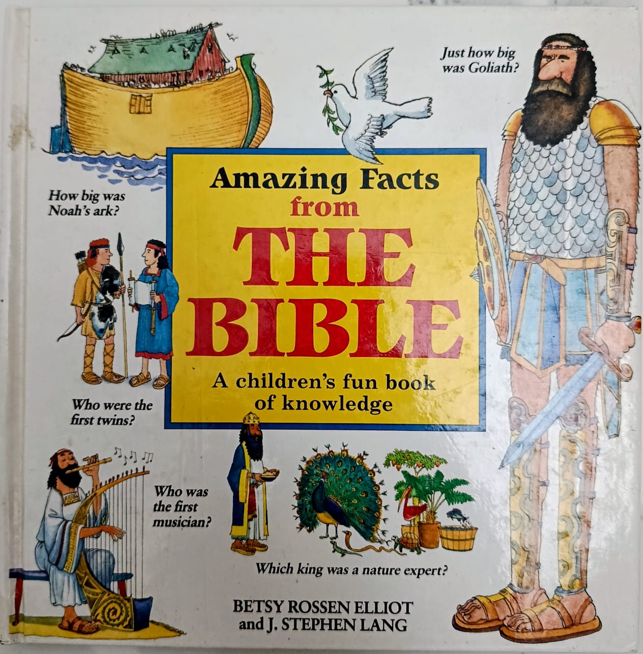 Amazing facts from the bible a children's fun book of knowledge
