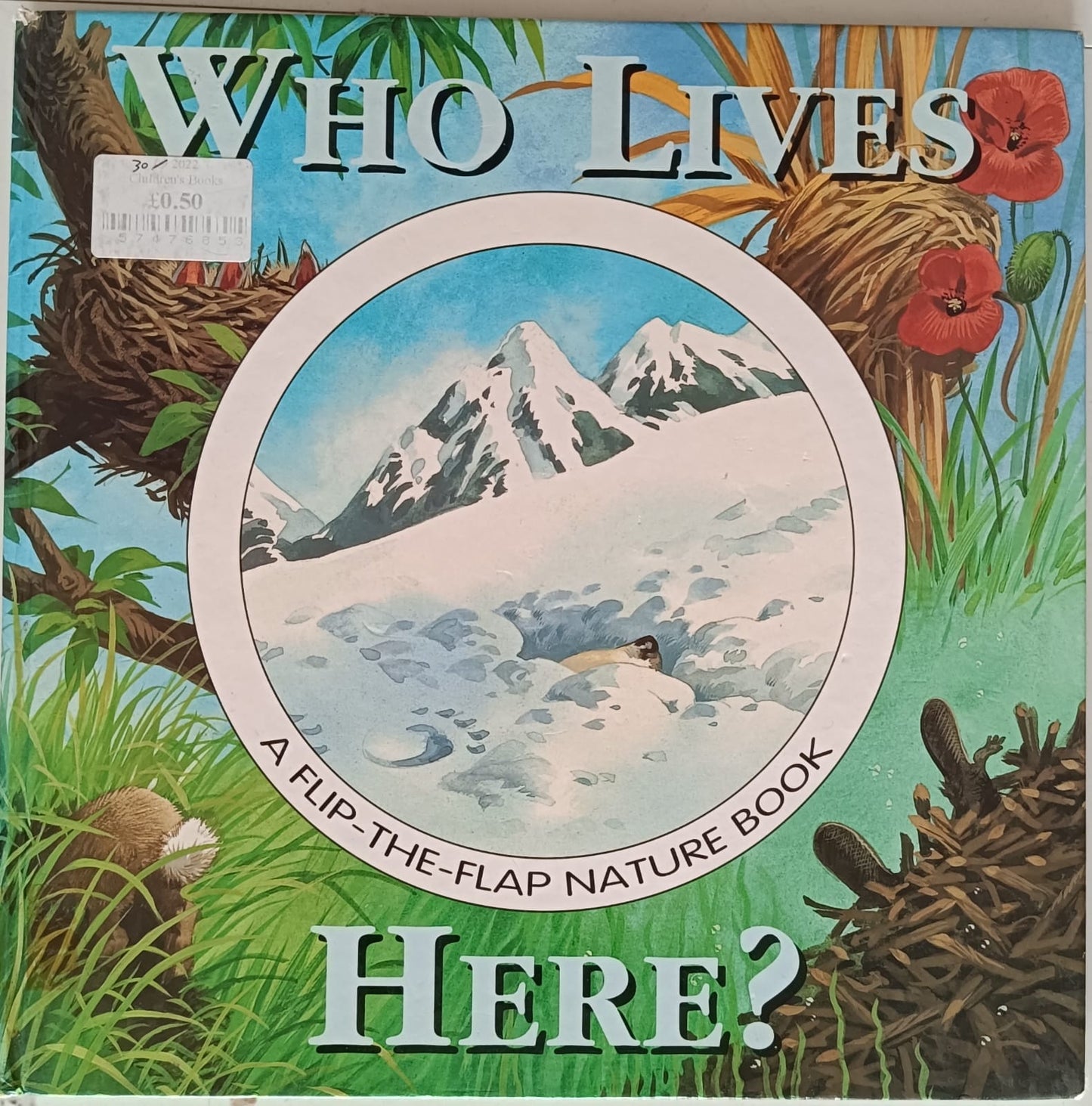 Who lives Here?-lift the flap
