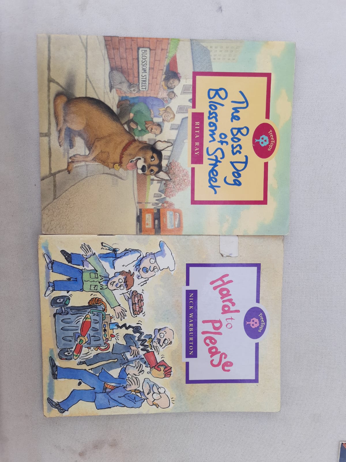 Tree Tops- combo of 2 books