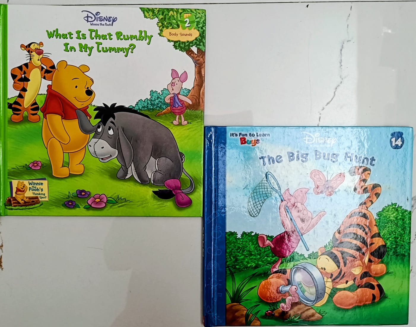 Disney Winnie the Pooh-Combo of 2 books