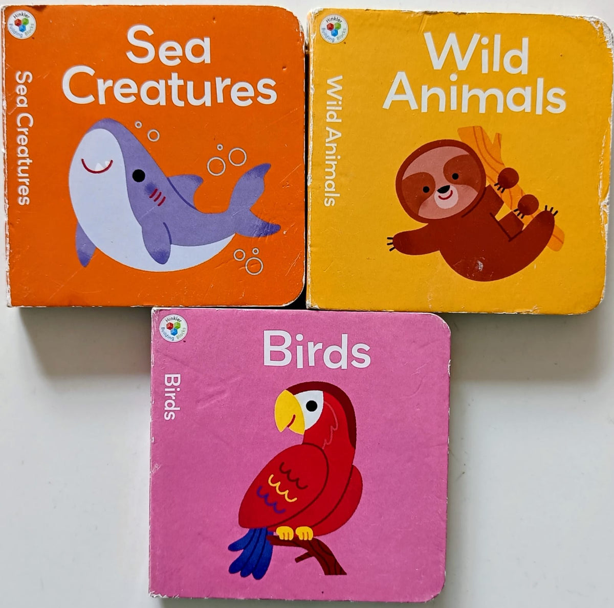 Hinkler Building blocks- Combo of 3 books