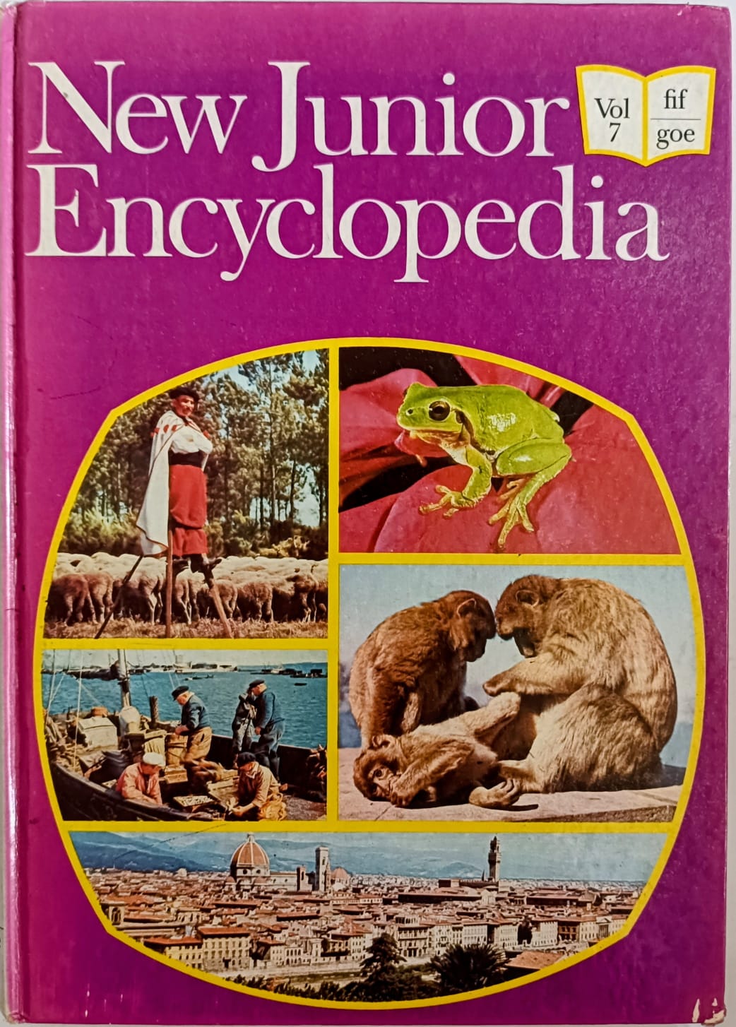 New Junior Encyclopedia Vol 7