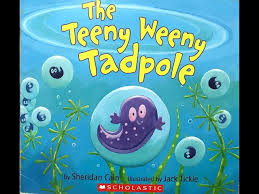 The teeny Weeny Tadpoles