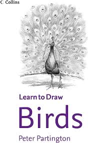 Learn to Draw- How to draw Birds by  Peter Partington