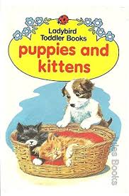 Ladybird toddler books- Combo of 4 books