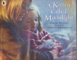 A kitten called moonlight