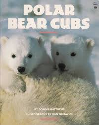 Polar bear cubs