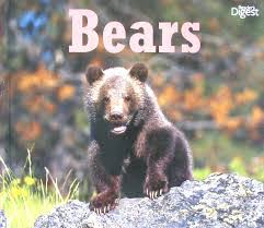 All about animals bear