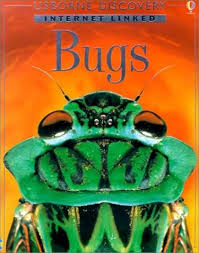 Usborne Discovery Internet linked- Bugs