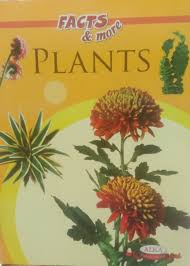 Facts and More Plants