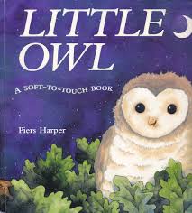 Little Owl- A soft touch and book