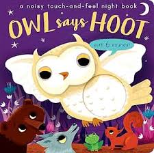 Owl says Hoot - Touch and feel