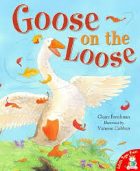 Goose on the loose