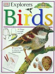 DK Explorers Birds