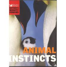 Animal Instincts: Nature's Mighty Powers