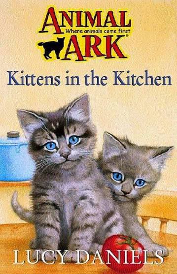 Kittens in the kitchen Animal Ark