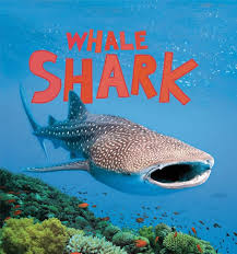Whale Shark