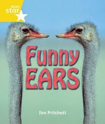 Rigby Star Funy Ears