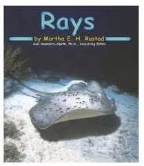 Rays