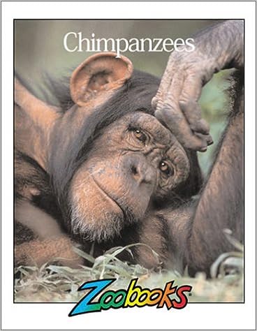 Chimpanzees
