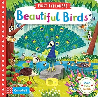 First explorers beautiful birds Push Pull Slide Book