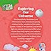 SMART BRAIN RIGHT BRAIN: SCIENCE LEVEL 2 EXPLORING OUR UNIVERSE (STEAM)