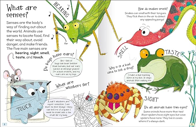 Curious questions and answers about animals