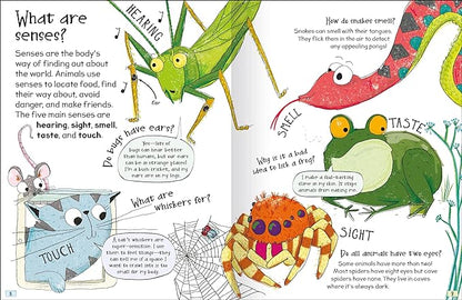 Curious questions and answers about animals