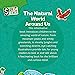 SMART BRAIN RIGHT BRAIN: SCIENCE LEVEL 3 THE NATURAL WORLD AROUND US (STEAM)