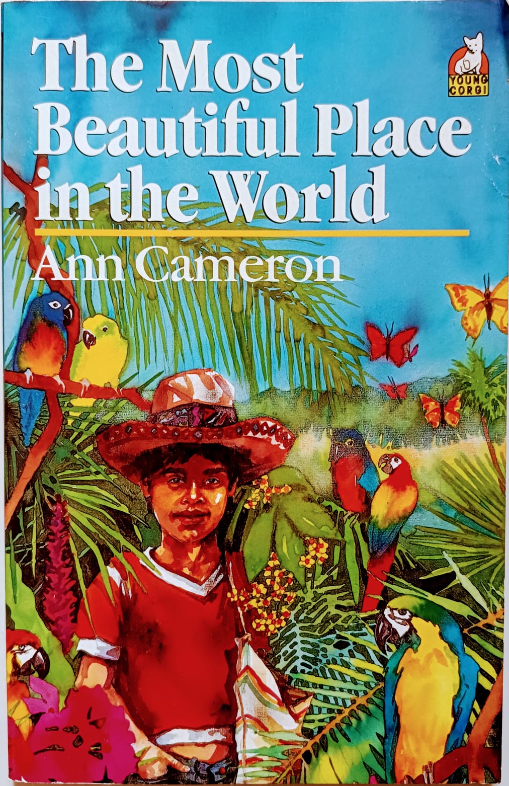 The most beautiful place in the world by Ann Cameron