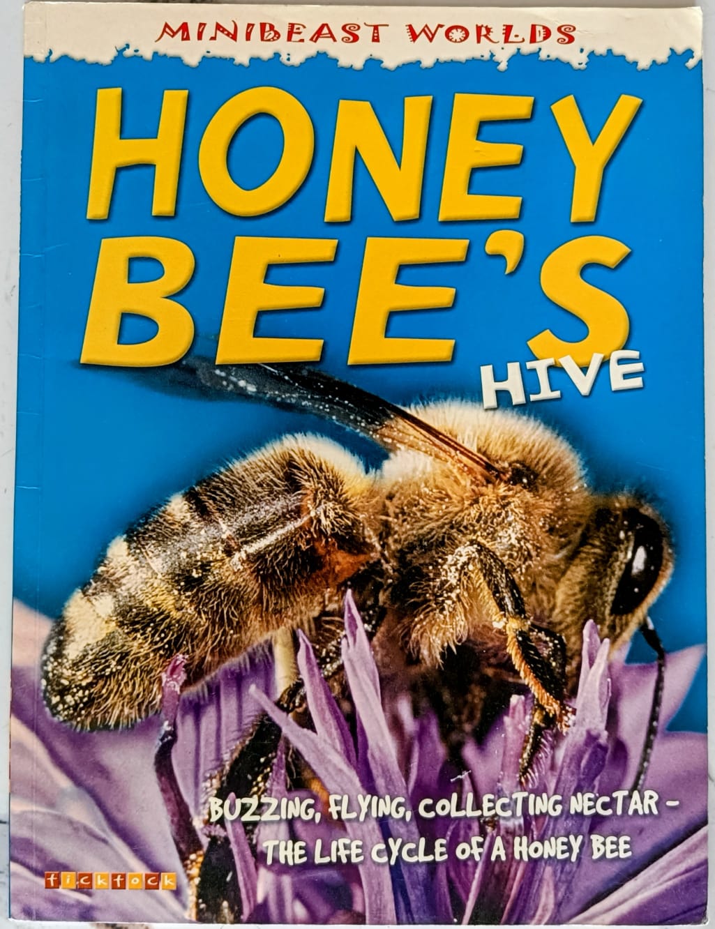 Honeybee's Hive