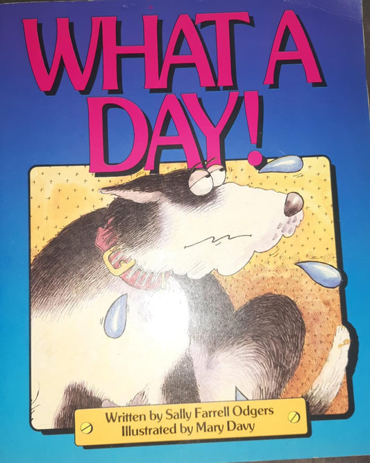 What A Day!
