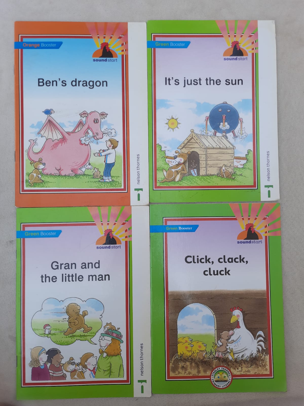 Nelson Thornes- Combo of 4 books