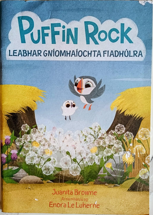 Leabhar Gníomhaíochta Fiadhúlra-irish Language