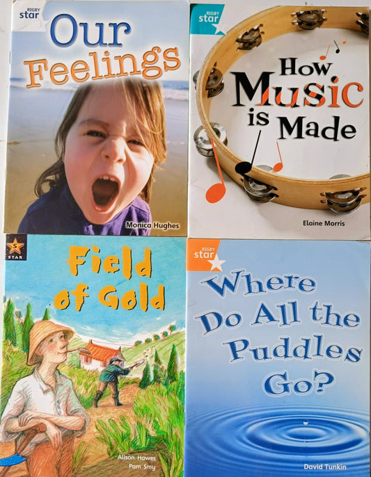 Rigby Star- Combo of 4 Books