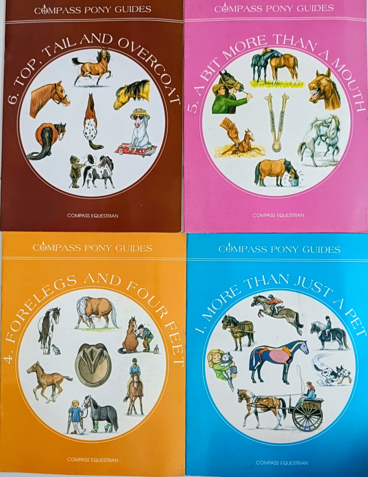 Compass Pony Guides- Combo of 4 Books