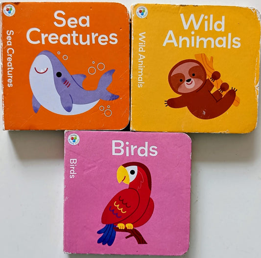 Hinkler Building blocks- Combo of 3 books