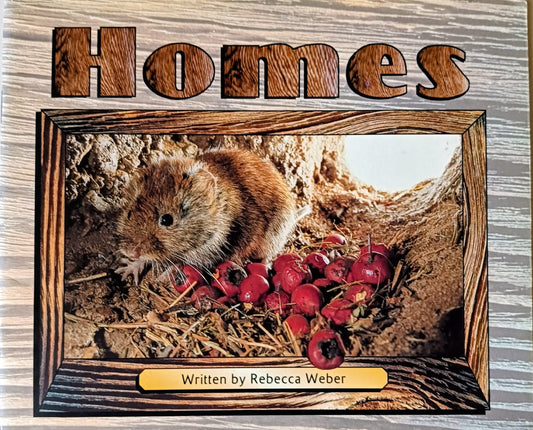 Homes by Rebecca Weber
