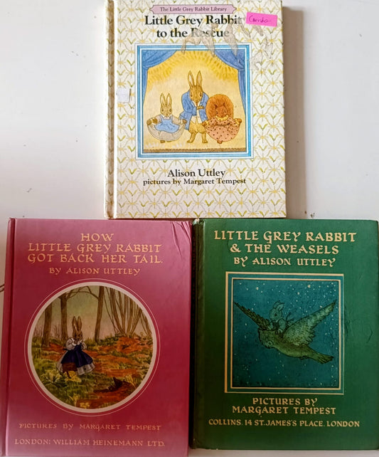 The Little Grey Rabbit - Combo of 3 books