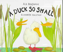 A duck so small