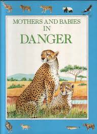 Mothers and babies in danger
