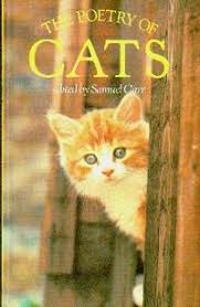 The poetry of cats