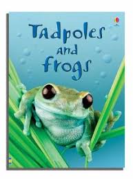 Usborne Tadpoles and frogs