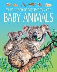 The usborne book of Baby Animals