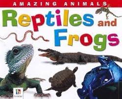 Reptiles and frogs