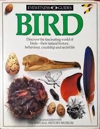DK Eyewitness guides- Bird